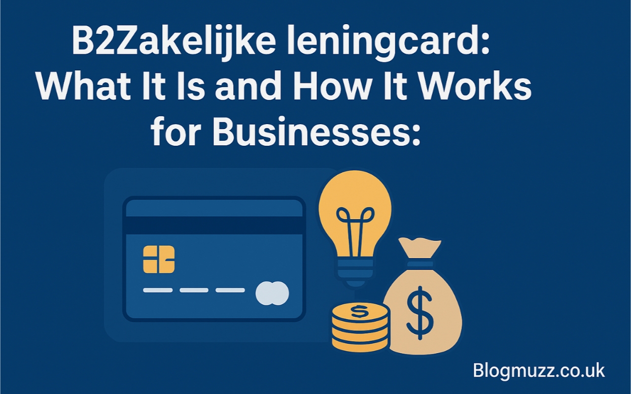 b2zakelijke leningcard: What It Is and How It Works for Businesses